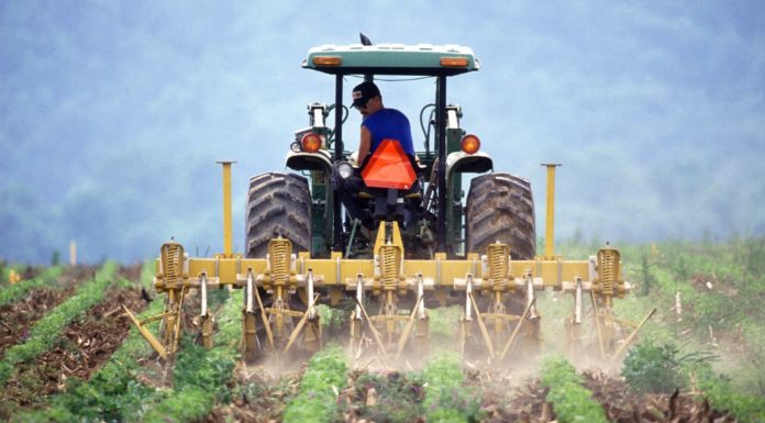 Coronavírus: CAP lança linha de apoio aos agricultores