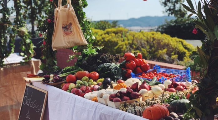 Mercadinho do Oeste reúne produtos sustentáveis