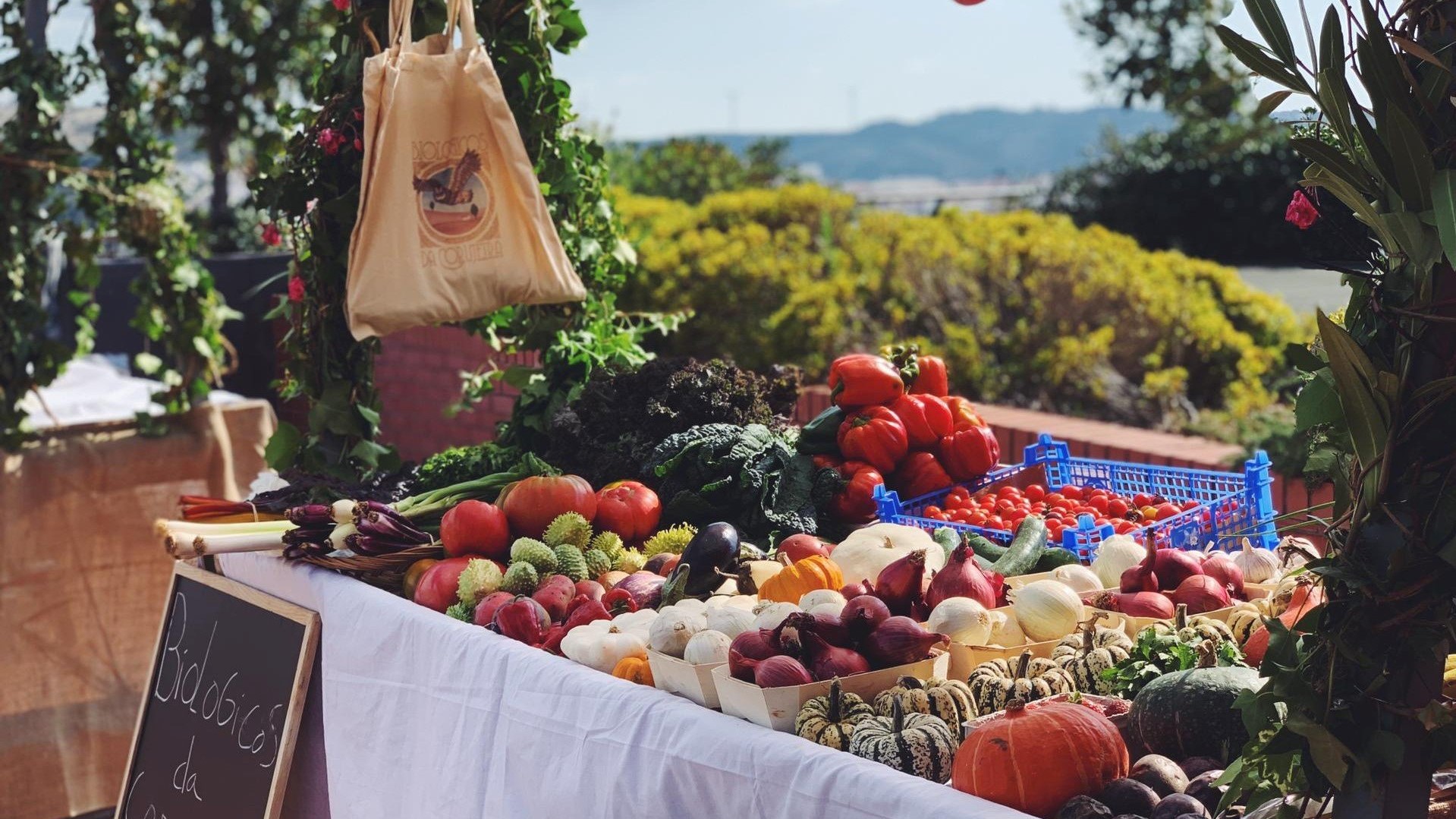 Mercadinho do Oeste reúne produtos sustentáveis