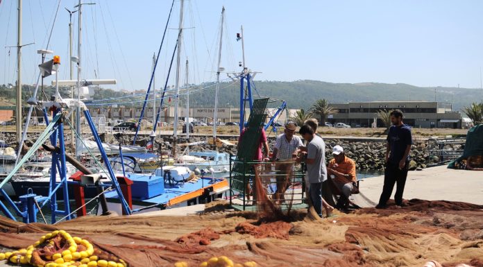 Nazaré quer fiscalização dos preços da venda do pescado