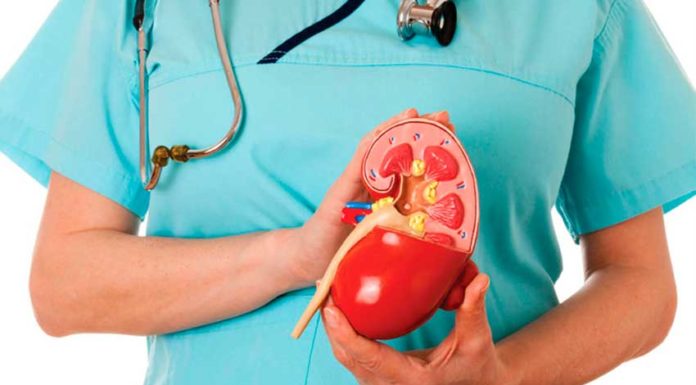 Os inimigos do rim: diabetes, hipertensão e obesidade