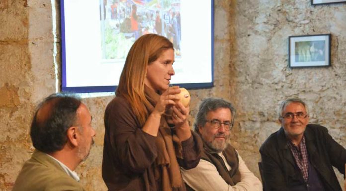 Iniciativa Km Zero deixa alertas para a sustentabilidade