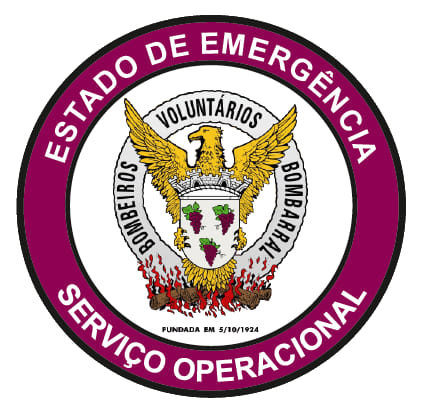 Coronavírus: Bombeiro do Bombarral que testou positivo encontra-se recuperado