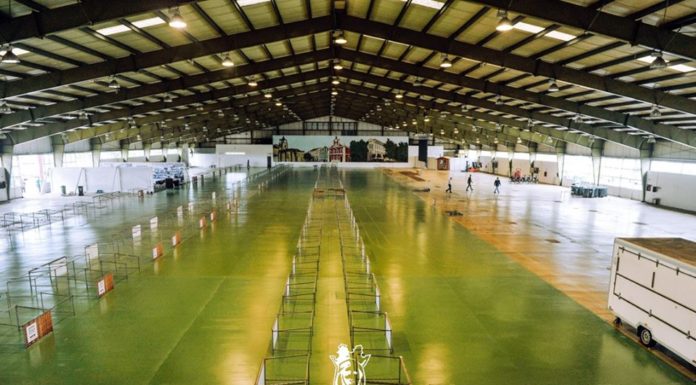 Praça da Fruta volta a funcionar, mas na Expoeste