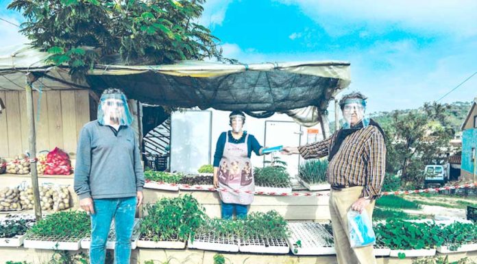 Câmaras do Oeste procuram garantir oferta de máscaras comunitárias à população