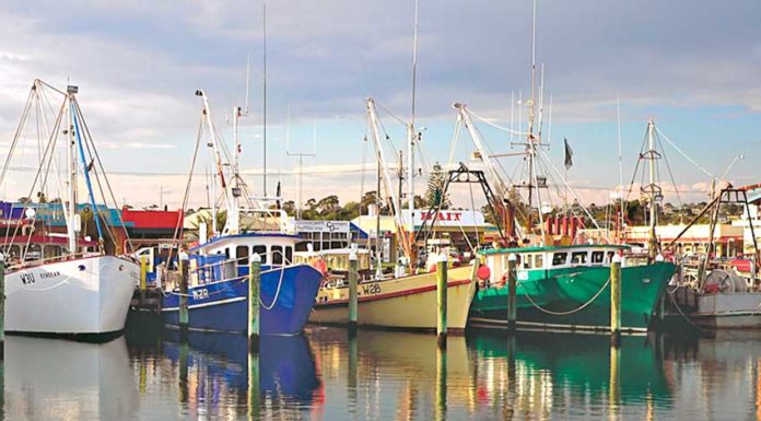 Mútua dos Pescadores suspende cobrança dos prémios dos seguros por 90 dias