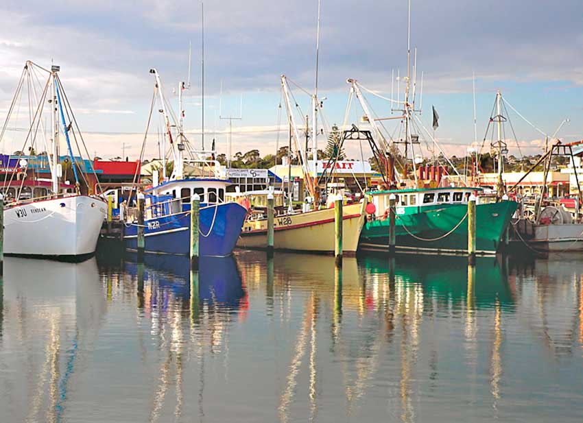 Mútua dos Pescadores suspende cobrança dos prémios dos seguros por 90 dias