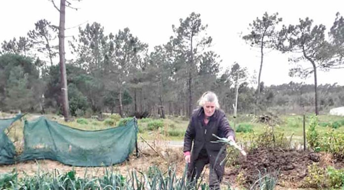 Câmara pondera passar Praça da Fruta para a Expoeste