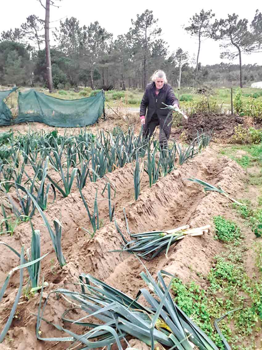 Câmara pondera passar Praça da Fruta para a Expoeste