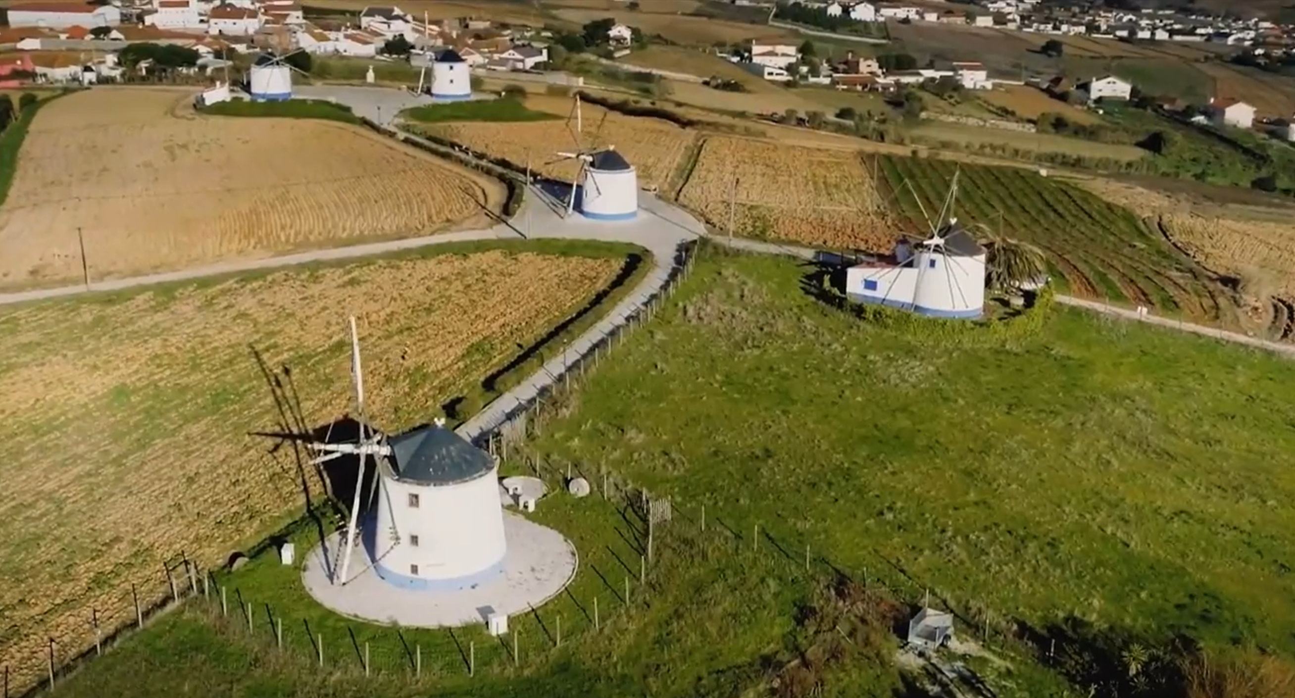 OesteCIM lança campanha de apelo aos oestinos para que fiquem em casa