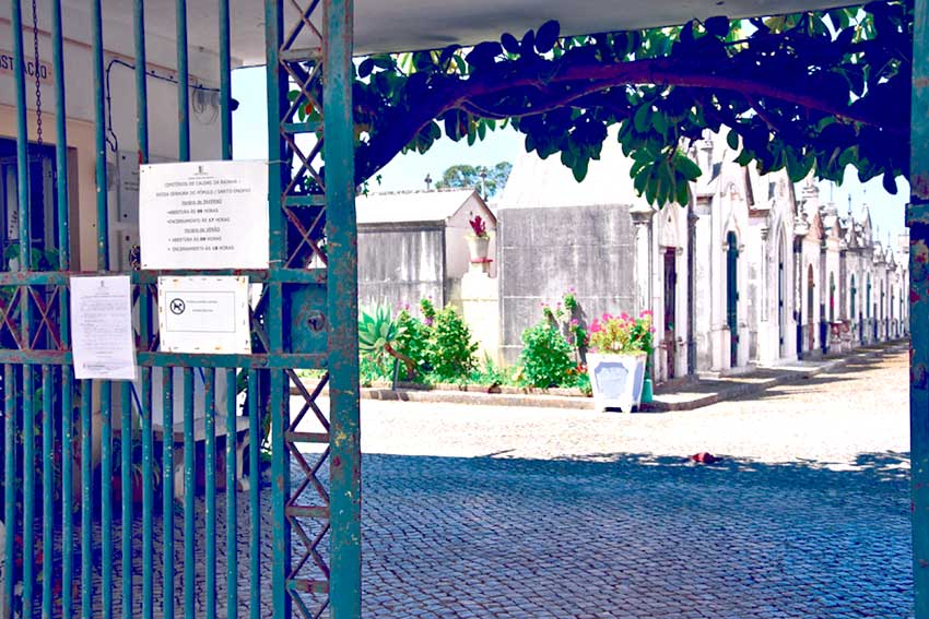 União de Freguesias de Caldas coloca flor em campas no Dia da Mãe