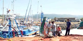 Nazaré quer fiscalização dos preços da venda do pescado