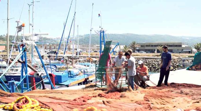 Nazaré quer fiscalização dos preços da venda do pescado