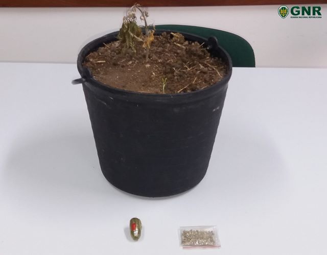 Detido por tráfico de estupefacientes em Turquel