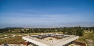 PTO alia-se à Propelloo para acelerar expansão de startups