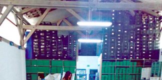 Banco Alimentar organiza campanha no fim de semana