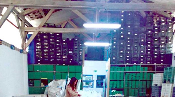 Banco Alimentar do Oeste recebe mais pedidos de auxílio