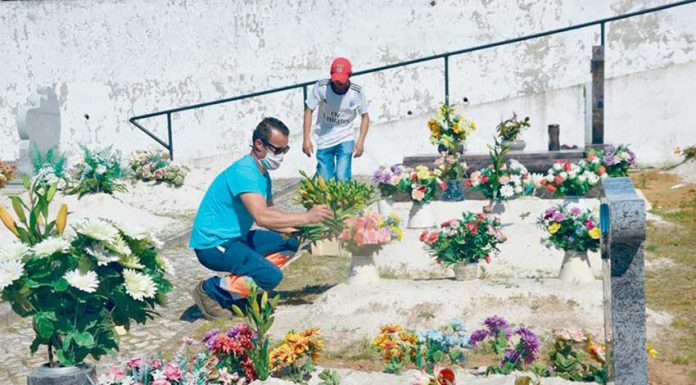 Juntas de Freguesias colocam flores nos cemitérios para assinalar Dia da Mãe