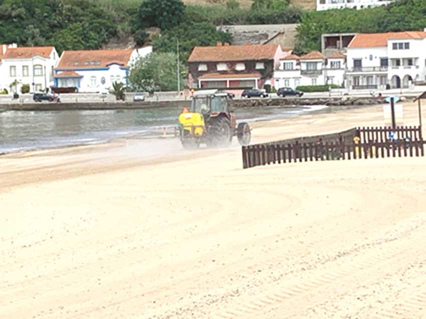 APA confirma desinfecção  da praia de São Martinho