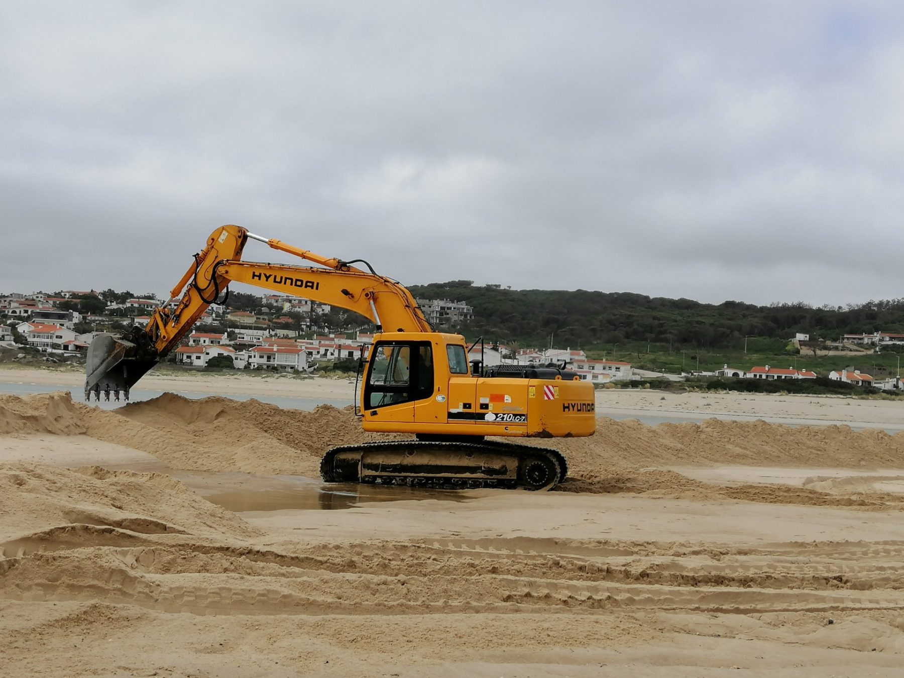 Trabalhos Aberta - Lagoa de Óbidos - Maio 2020