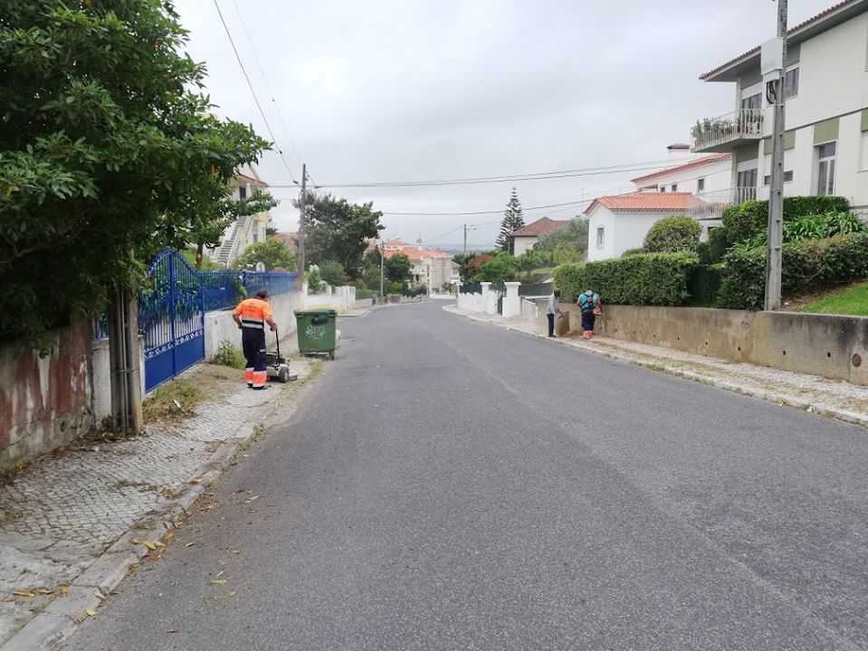Junta das Caldas prossegue limpeza das bermas e passeios