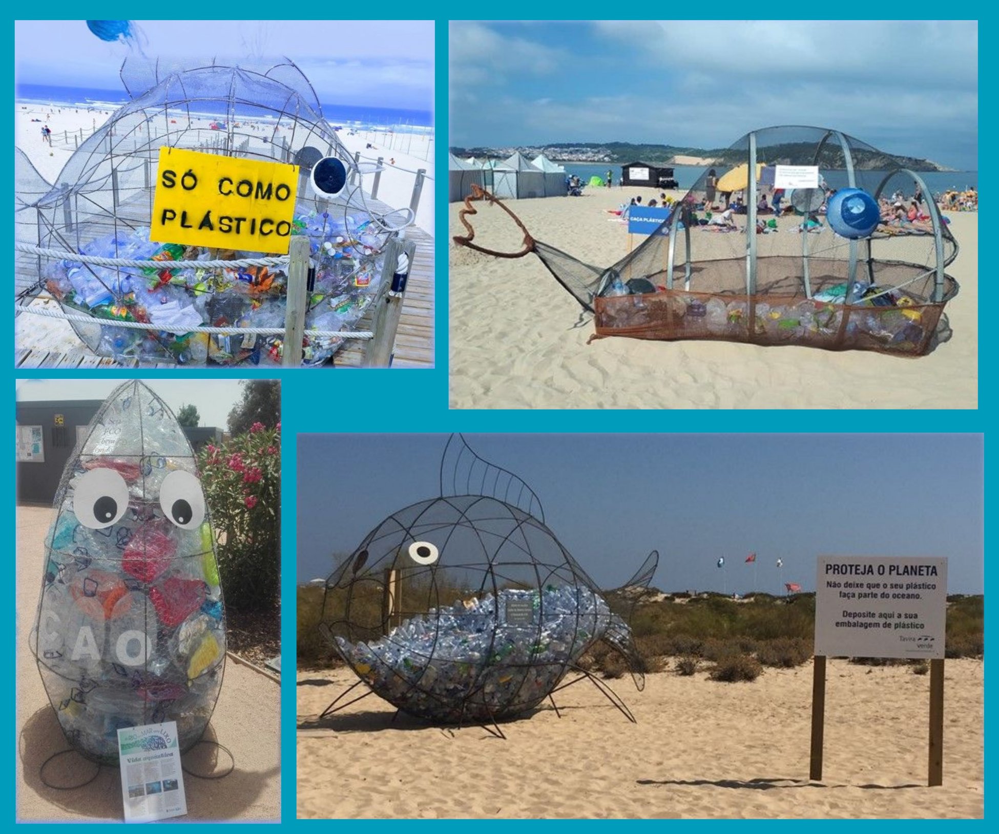 Alcobaça conquista prémio internacional com projecto ambiental