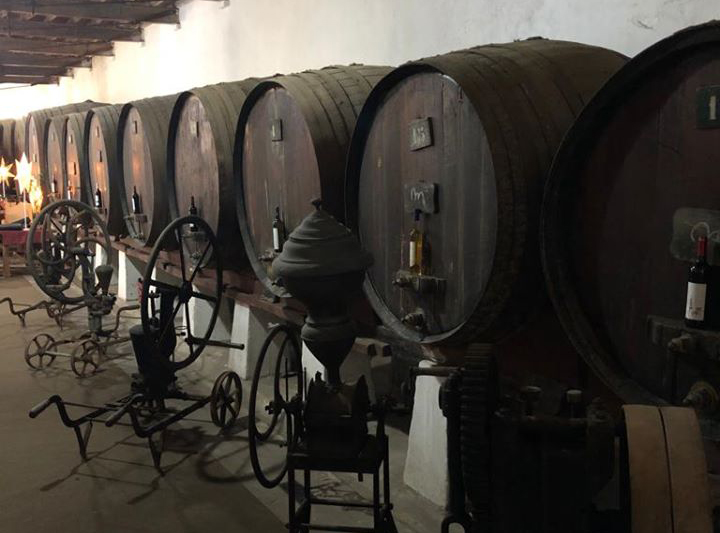 Companhia Agrícola do Sanguinhal reabre circuitos de enoturismo