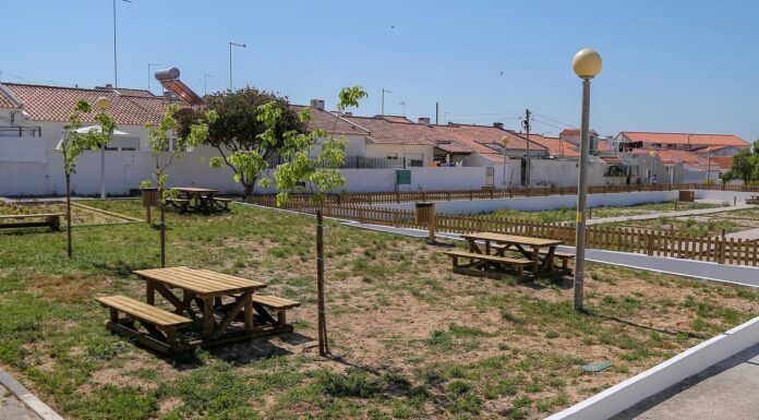 Doze lotes da primeira horta comunitária da Nazaré já têm utilizadores