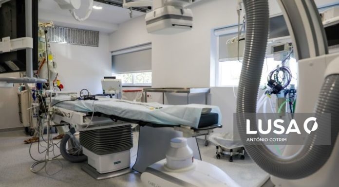 Confraria da Nazaré suspende convenção com SNS