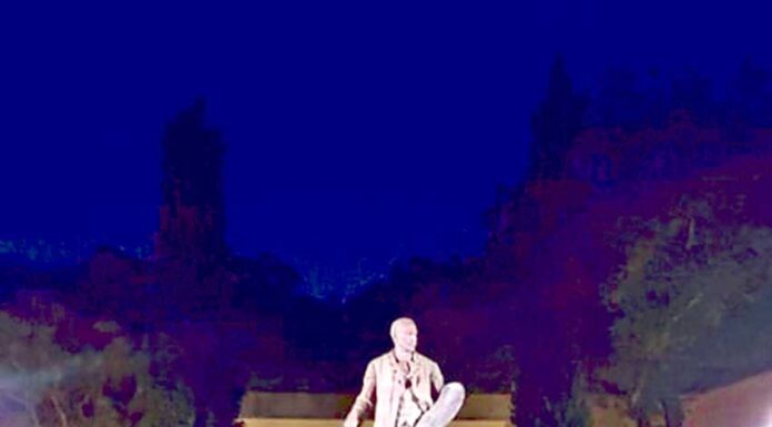 Projecto de iluminação artística do Parque D. Carlos I já começou a ser implementado