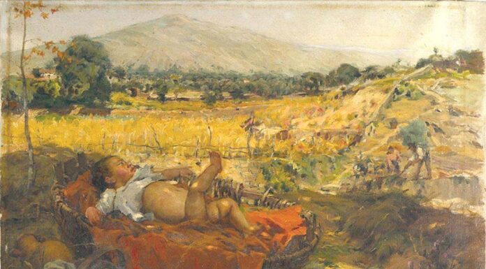 Museu Malhoa reabre com visitas comentadas