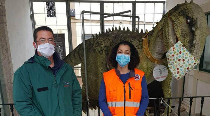 Museu da Lourinhã reabre ao público esta quarta-feira