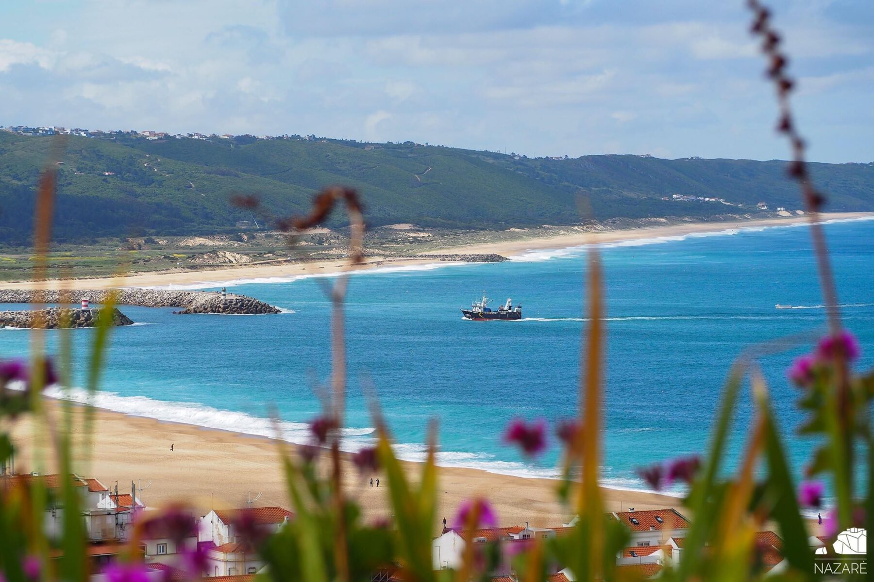Coronavírus: Mais de 150 pescadores da Nazaré vão fazer teste à Covid-19