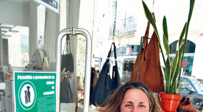 Bomtom, a sapataria onde os animais são bem-vindos