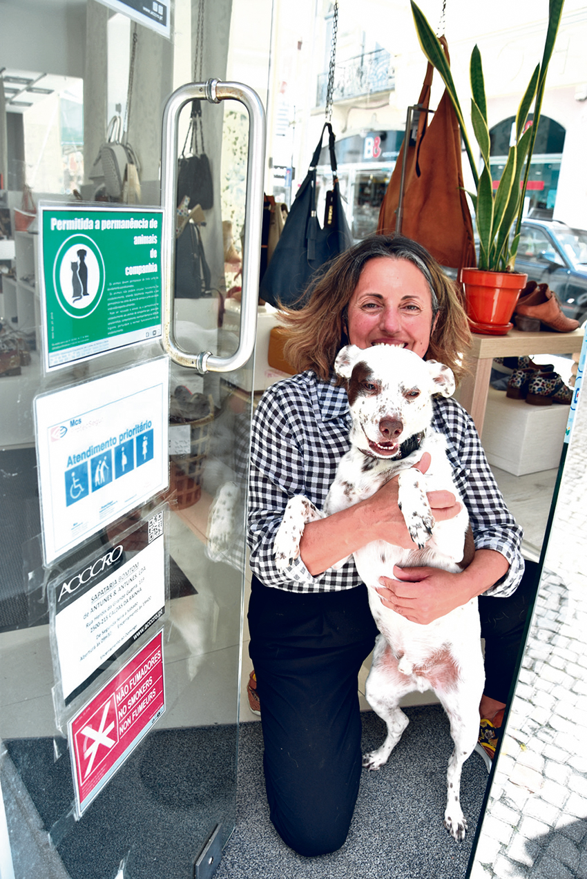 Bomtom, a sapataria onde  os animais são bem-vindos