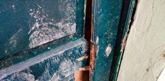 Vandalismo na Junta de Freguesia e no Parque D. Carlos I