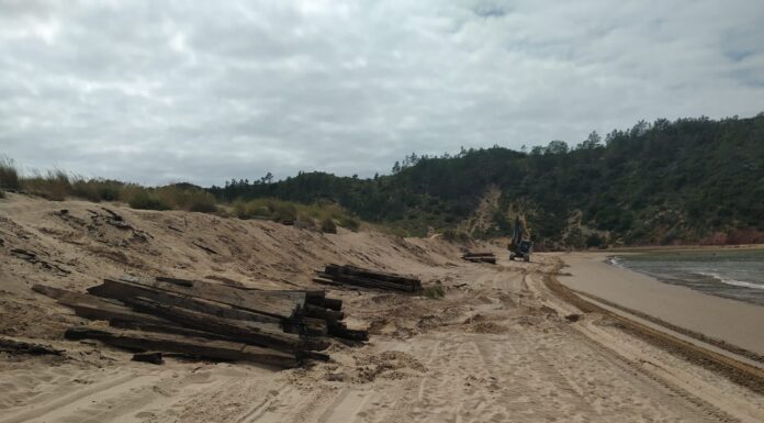 Passadiços de São Martinho do Porto removidos