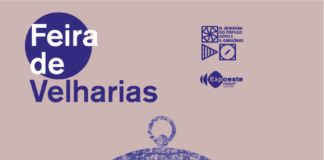 Feira das Velharias regressa ao Parque no domingo