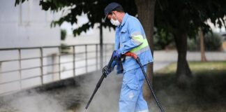 Nazaré faz controlo de plantas infestantes em espaços públicos com técnica amiga do ambiente