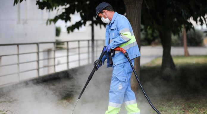 Nazaré faz controlo de plantas infestantes em espaços públicos com técnica amiga do ambiente