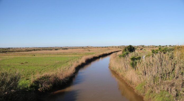 Alcobaça e Nazaré têm projecto de mobilidade suave para o Rio Alcoa