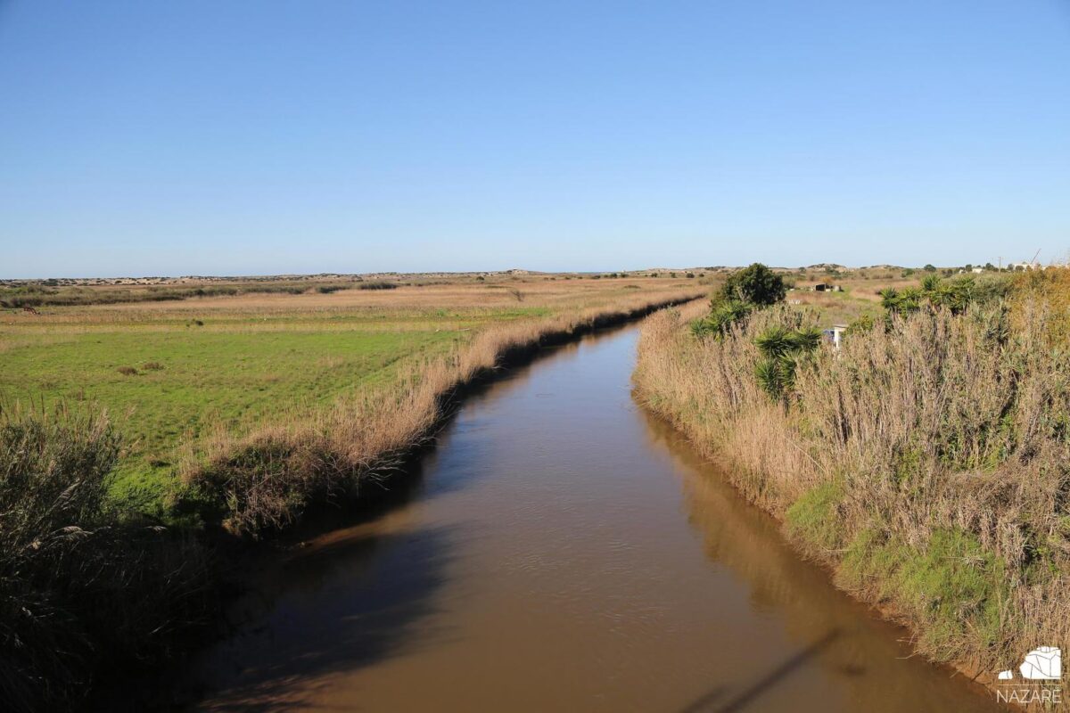 Alcobaça e Nazaré têm projecto de mobilidade suave para o Rio Alcoa