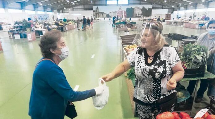Vendedores divergem quanto ao regresso à Praça da Fruta