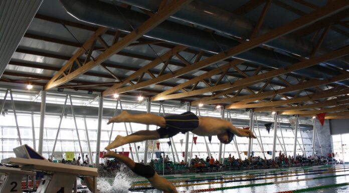 Nadadores olímpicos do Brasil vão treinar em Rio Maior