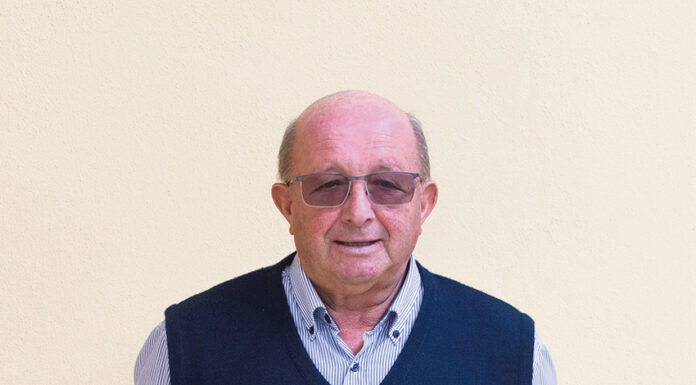 Gala on-line para comemorar décimo aniversário da ADA