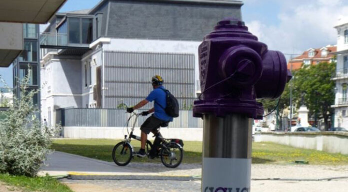 Ana Sofia Silveira nomeada presidente da Águas do Tejo Atlântico