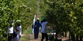 Timorenses deixados ao abandono