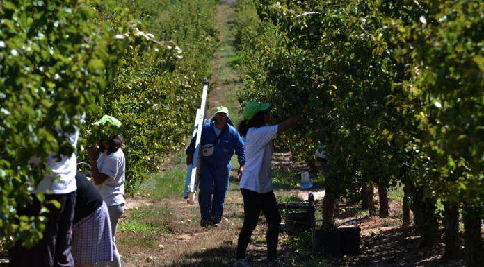 Caldas realiza acções de sensibilização nas freguesias