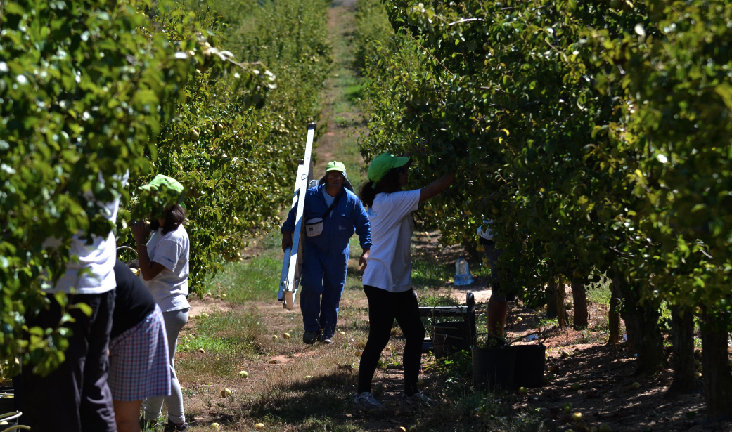 Timorenses deixados ao abandono