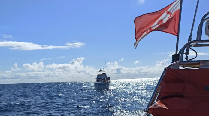 Estação salva-vidas da Nazaré presta auxílio a embarcação